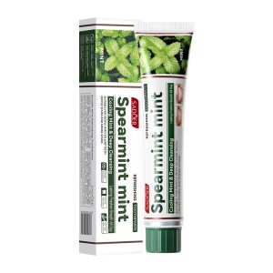 Refreshing Mint Toothpaste (100g)